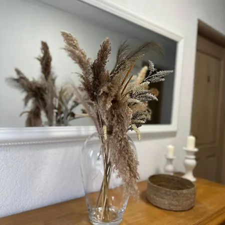 Lavenderia Z Widokiem Na Górę Parkową, Blisko Centrum Apartamento