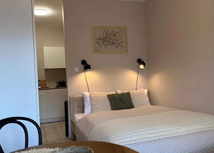 Lavenderia Z Widokiem Na Gore Parkowa, Blisko Centrum, Spokojna Okolica Апартаменты *